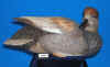 Gadwall Drake - 1997